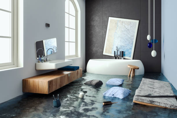 Best Commercial water damage restoration  in Burlington, WI