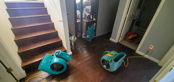 Best Flood damage cleanup  in Burlington, WI