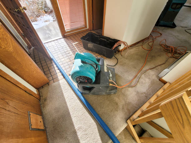 Best 24/7 water damage repair  in Burlington, WI