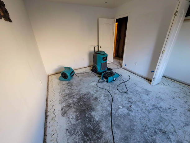 Best Water damage restoration near me  in Burlington, WI