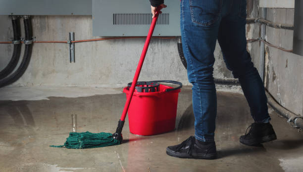 Best Water damage contractors near me  in Burlington, WI