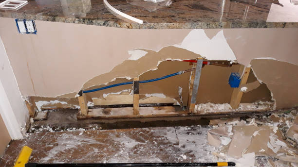 Best Water damage contractors near me  in Burlington, WI