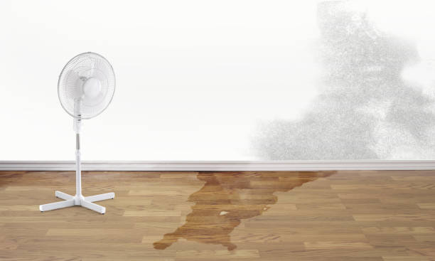 Best Local water damage restoration  in Burlington, WI