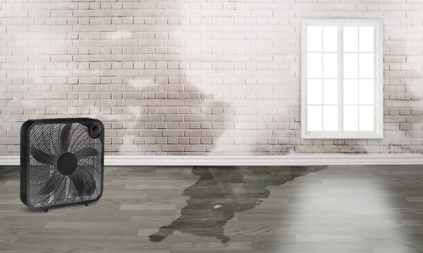 Best Emergency water damage restoration  in Burlington, WI
