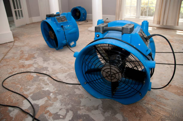 Best Water damage restoration near me  in Burlington, WI