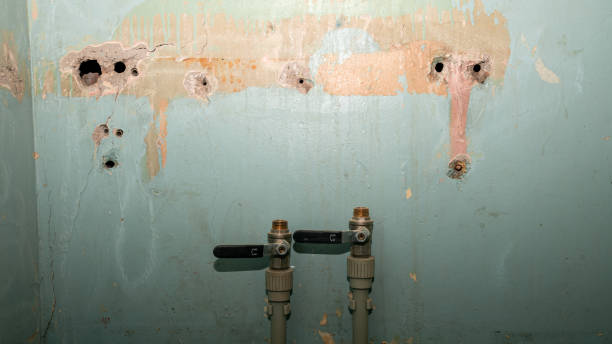 Professional Water damage restoration in Burlington, WI
