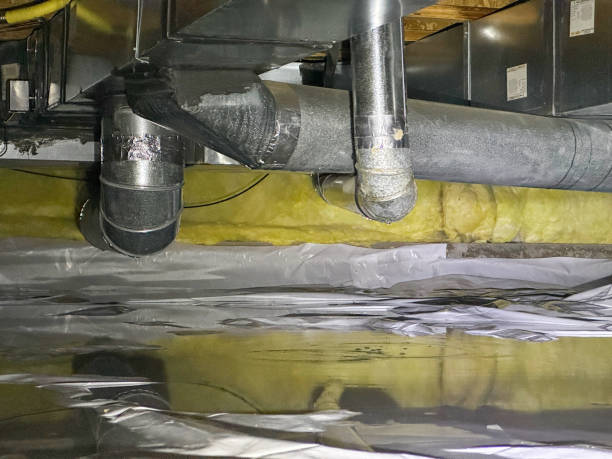 Best Flood restoration services  in Burlington, WI