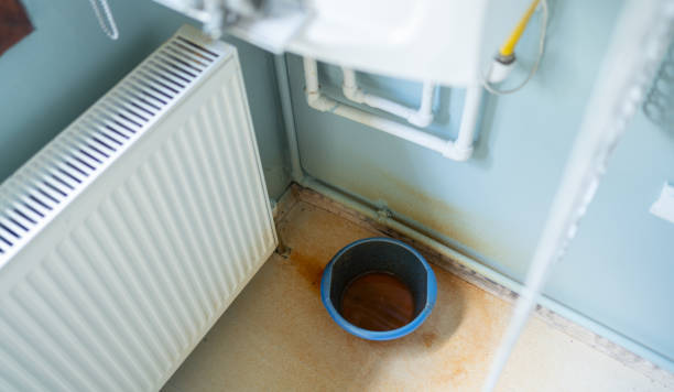 Best Ceiling water damage repair  in Burlington, WI