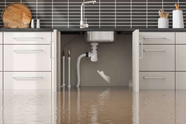 Carpet water damage restoration in Burlington, WI