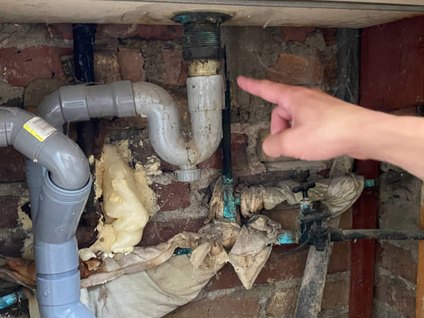 Best Water damage cleanup near me  in Burlington, WI