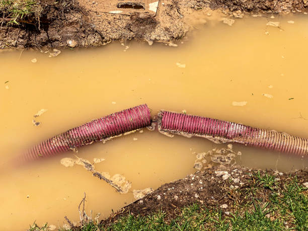 Best Flood restoration services  in Burlington, WI