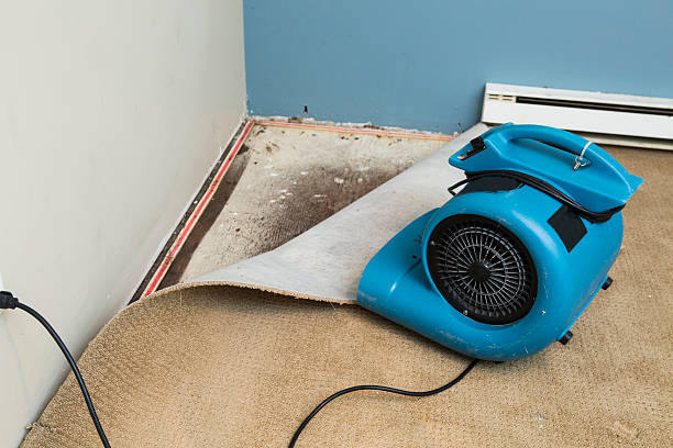 Best 24-hour water damage restoration  in Burlington, WI